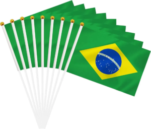 BANDEIRA DO BRASIL 14X21 CM 10 PÇS 14109