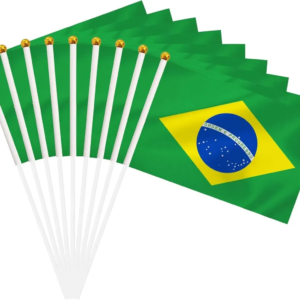 BANDEIRA DO BRASIL 14X21 CM 10 PÇS 14109