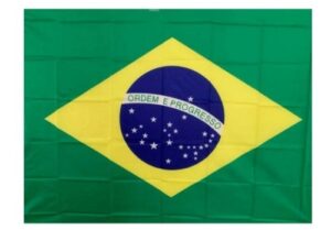 BANDEIRA DE CARRO BRASIL 60x90 9835